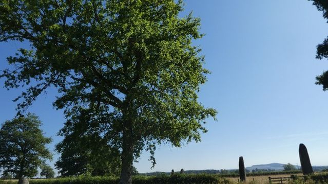 Menhirs dÉpoigny