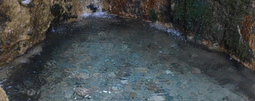 Tamshybulak spring