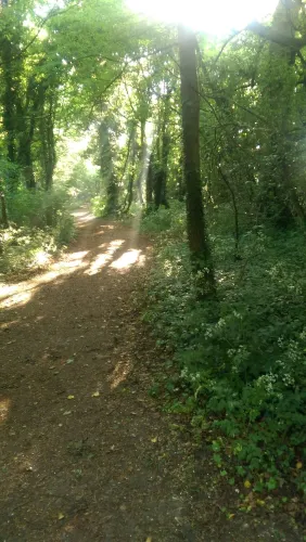 Cambourne