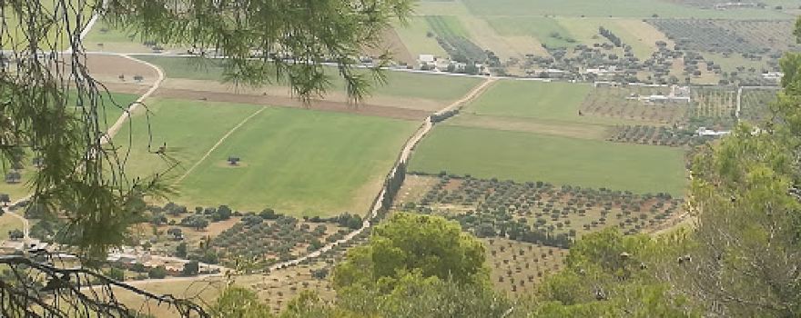 El menassa djébel rihane rihane
