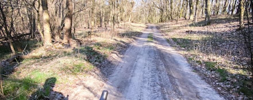 Wieża obserwacyjna - Trzcielińskie bagno