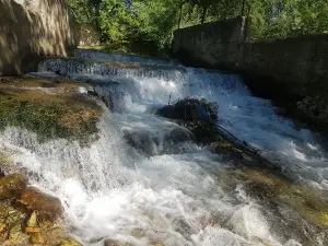 Horata Picnic Area