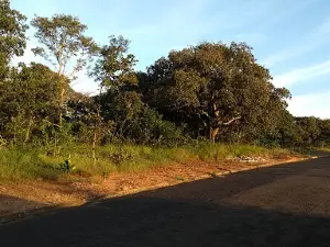 Mata Do Almerinda de Rezende