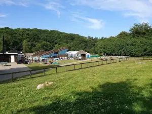 Riis Feriepark