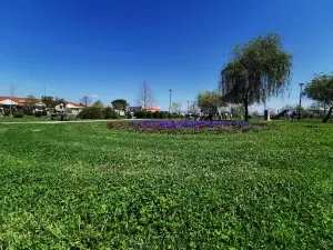 King Peter I Park
