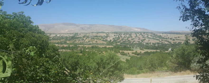 Mount Haroğlu