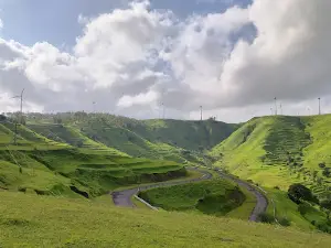 Gudhe Panchgani.