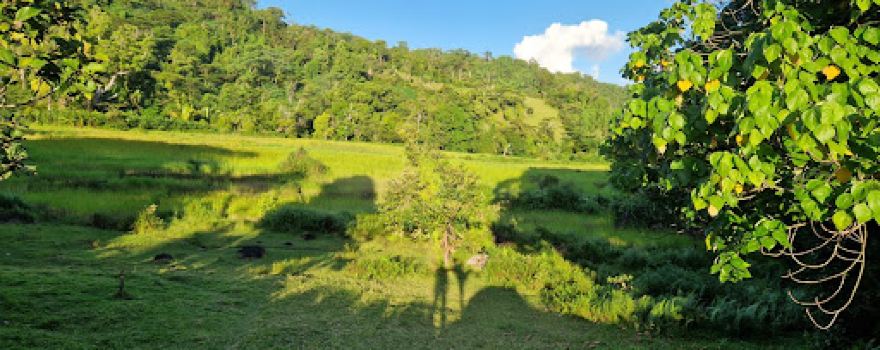 Masoala Travel guide