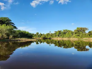 CHUCHINI Amazon Wildlife Eco Reserve & Lodge, Trinidad