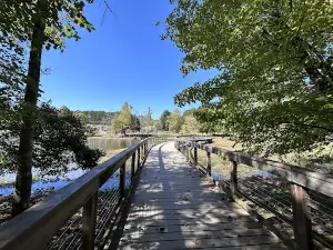 Cosby Lake Park