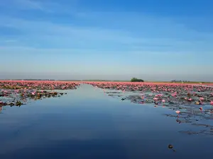 Red Lotus Sea, Ban Don Khong