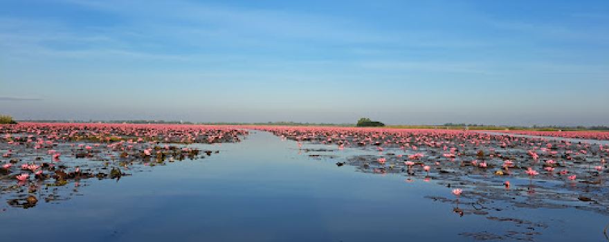 Red Lotus Sea, Ban Don Khong