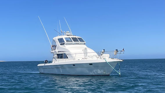Evolution Charters Exmouth