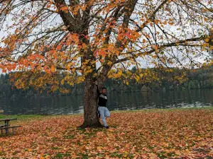 Mayfield Lake Park