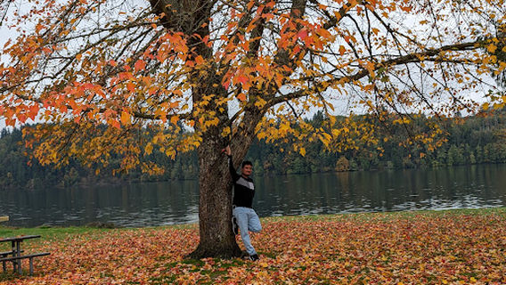 Mayfield Lake Park