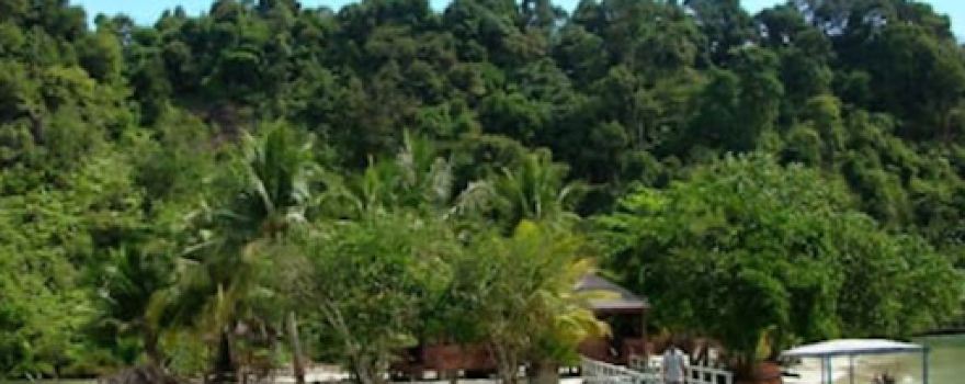 Kepulauan Mentawai