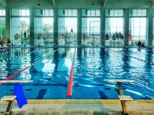 Polideportivo De Reynosa
