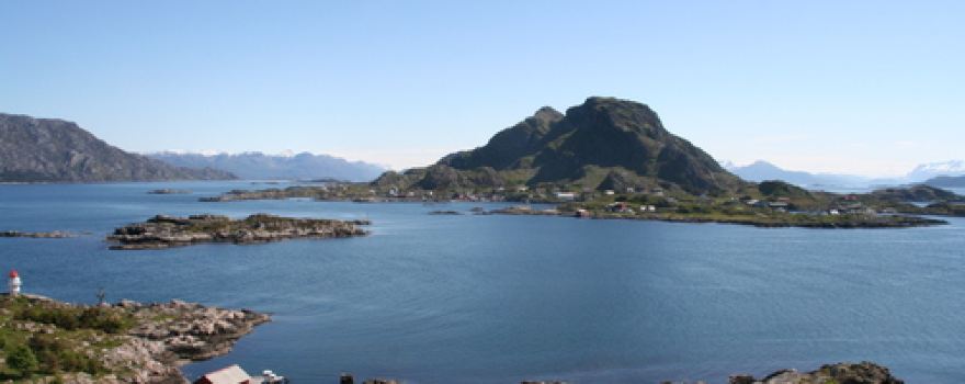 Skorpa