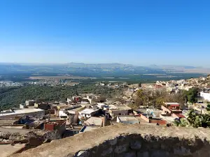 The Archaeological Site of Chusira