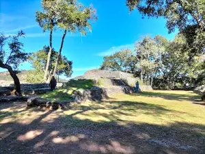 Parque Nacional Campo Alegre