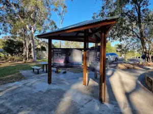 Mount Beerburrum Walking Track