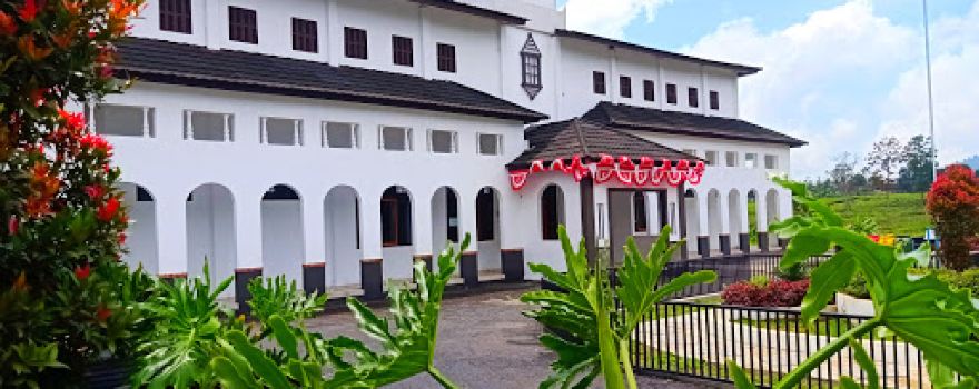 Perkebunan Teh Cisaruni