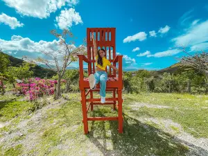 Mirador Brisas del Atlántico