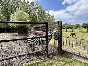 Private Zoo Sedlec