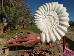 Tahiri museum of fossils