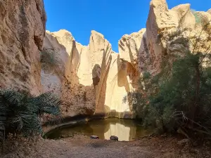 Qlgh Aorkaaam