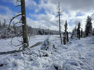 Oderteich