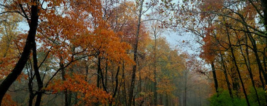 Trail of Tears State Park