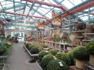 bellaflora Braunau