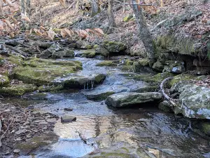 Alum Cove Natural Bridge Recreation Area