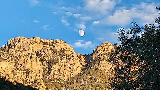 Mt. Wrightson Picnic Area