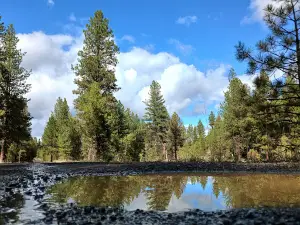 Spring Creek Dispersed Campsites