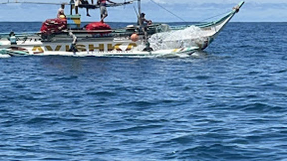 Mirissa Snorkeling Blue Whales Tours
