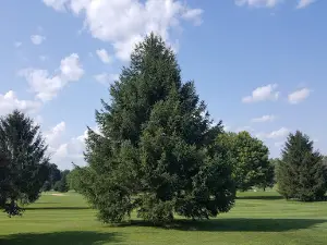 Bedford Elks Country Club