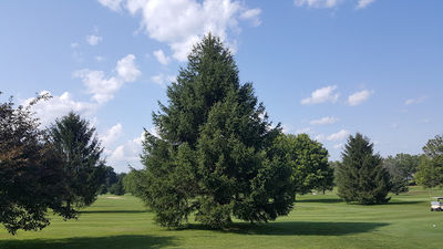 Bedford Elks Country Club