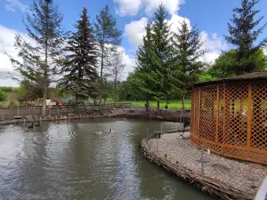 Zwierzaki Nad Potokiem Mini ZOO