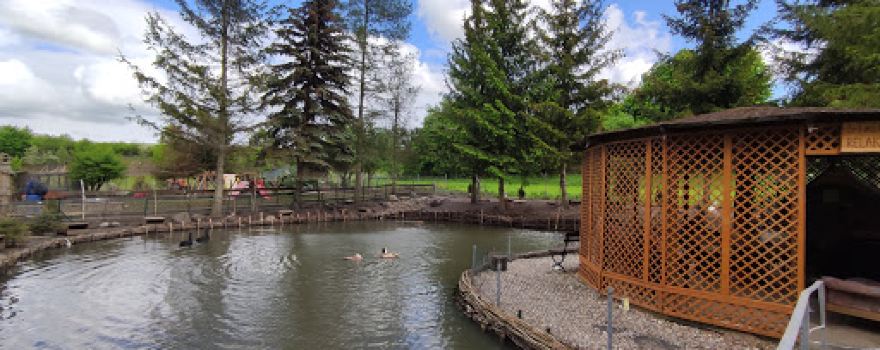 Zwierzaki Nad Potokiem Mini ZOO