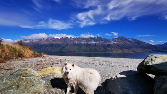 Twenty Five Mile Stream