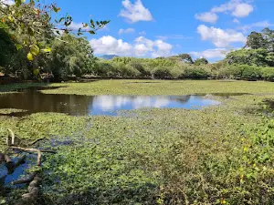 La Expresión Laguna de Doña Ana Recreation Park