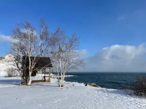 Vue sur le fleuve/halte routiere