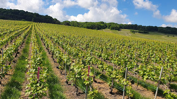 House of the Montagne de Reims Regional Natural Park
