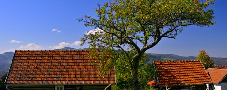 Muzeum poslední žítkovské bohyně