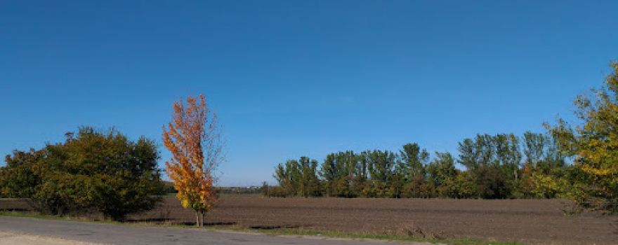 Stadion "Kolos"