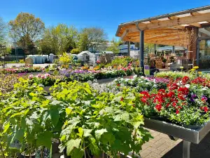 Landmarkt Bandholtz
