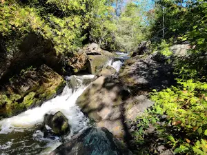 Morgan Co Park
