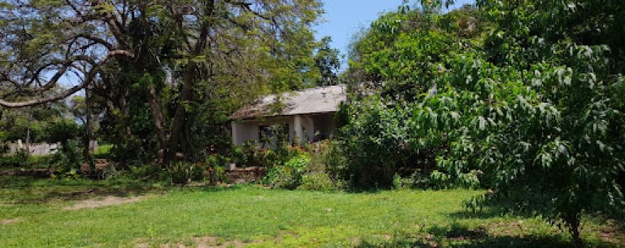 Familia Gómez Flores